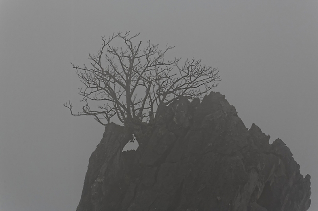 Hanoï-Baie d'Along-048